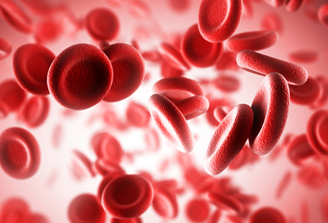 Детальніше про статтю Болезни крови (анемии)
